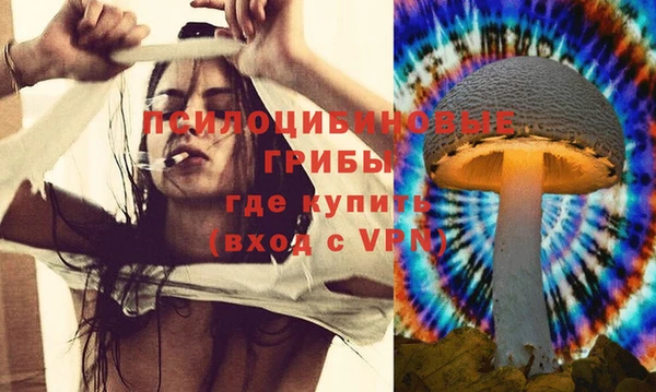 дурь Алексин