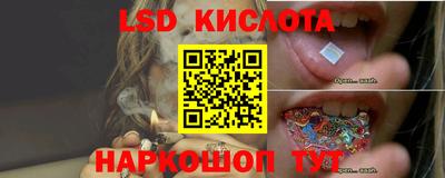 ALPHA-PVP Новозыбков