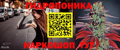 ALPHA-PVP Новозыбков