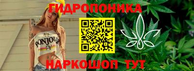 ALPHA-PVP Новозыбков