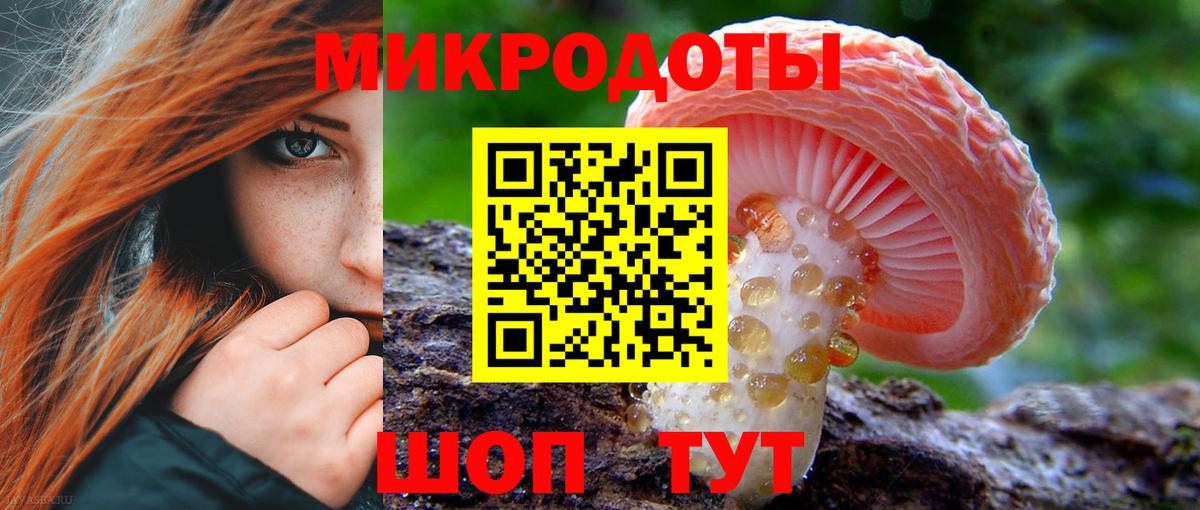 Галлюциногенные грибы Psilocybine cubensis Осинники
