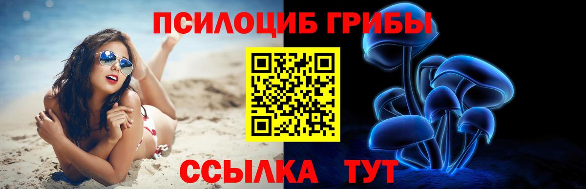 купить наркотик  Вход с VPN  Осинники  Галлюциногенные грибы GOLDEN TEACHER 